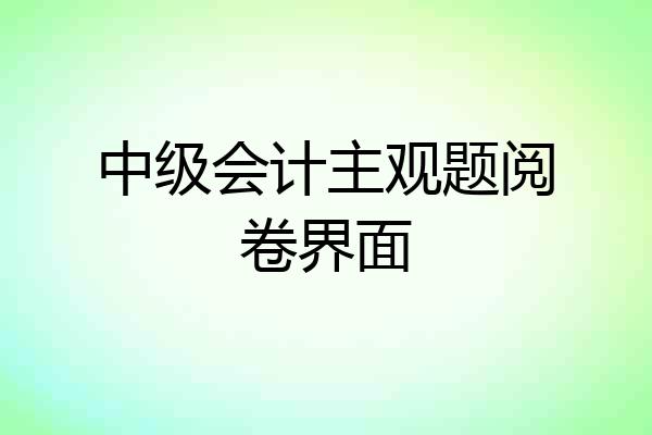 中级会计主观题阅卷界面