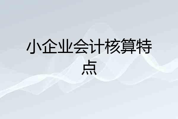 小企业会计核算特点