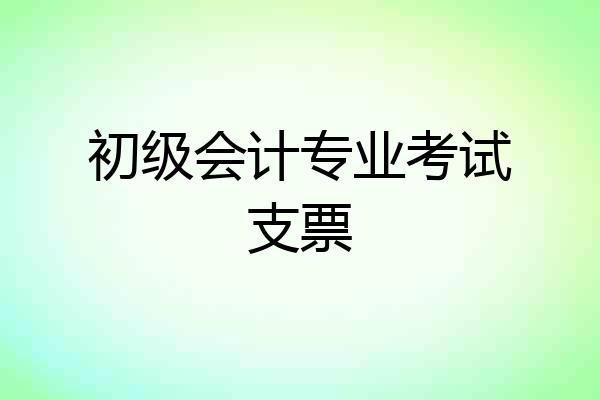 初级会计专业考试支票