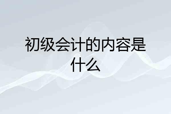 初级会计的内容是什么