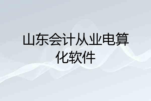 山东会计从业电算化软件