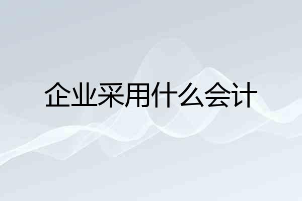 企业采用什么会计
