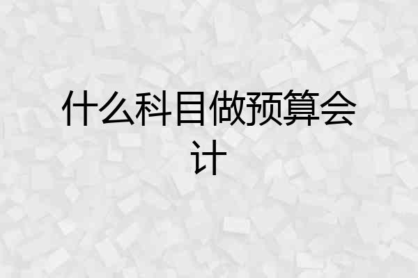 什么科目做预算会计