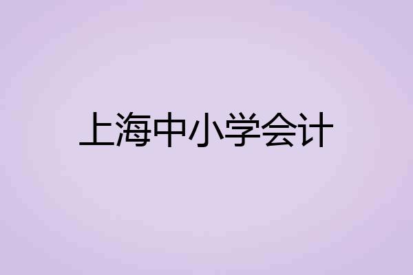 上海中小学会计