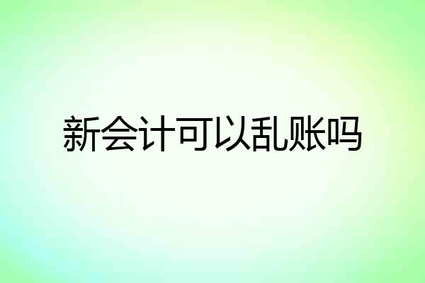 新会计可以乱账吗