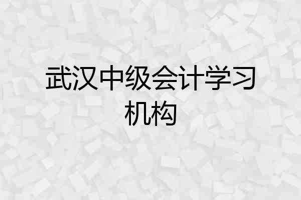 武汉中级会计学习机构