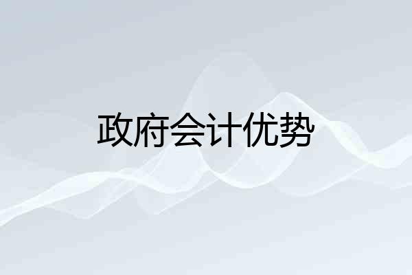 政府会计优势