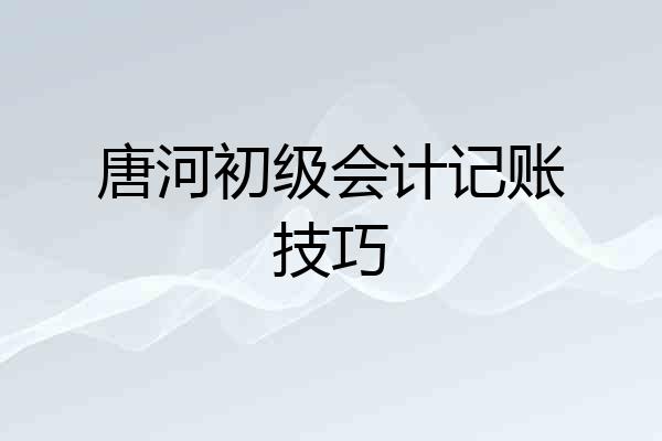 唐河初级会计记账技巧