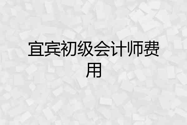 宜宾初级会计师费用