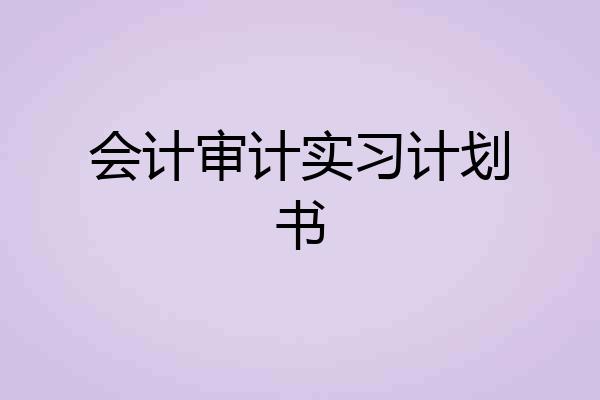会计审计实习计划书