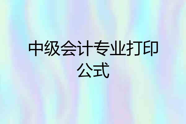中级会计专业打印公式