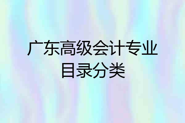 广东高级会计专业目录分类