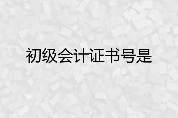 初级会计证书号是