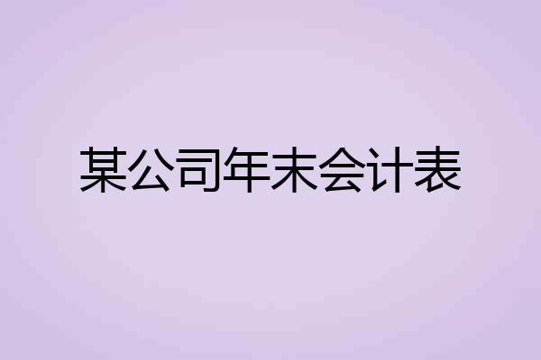 某公司年末会计表