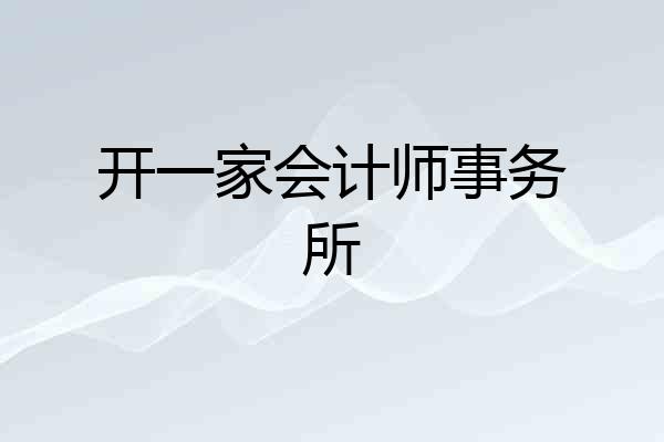 开一家会计师事务所