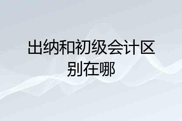 出纳和初级会计区别在哪