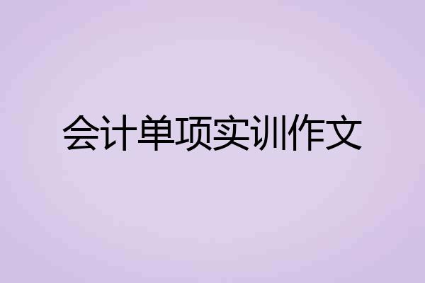 会计单项实训作文