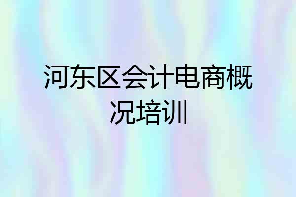 河东区会计电商概况培训