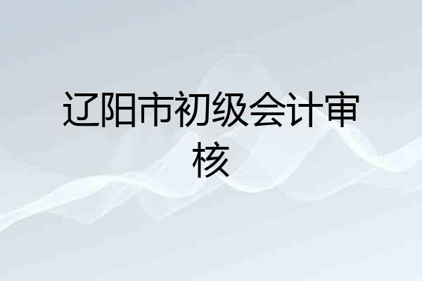 辽阳市初级会计审核