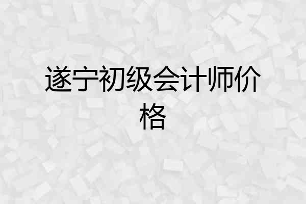 遂宁初级会计师价格