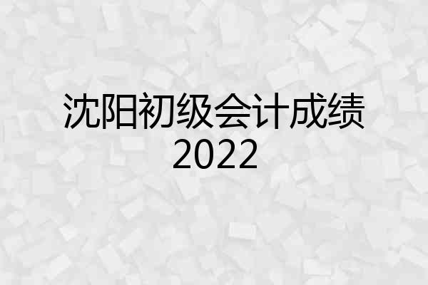 沈阳初级会计成绩2022