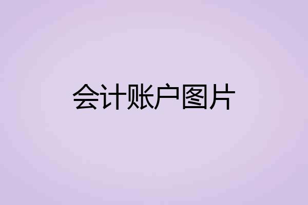 会计账户图片