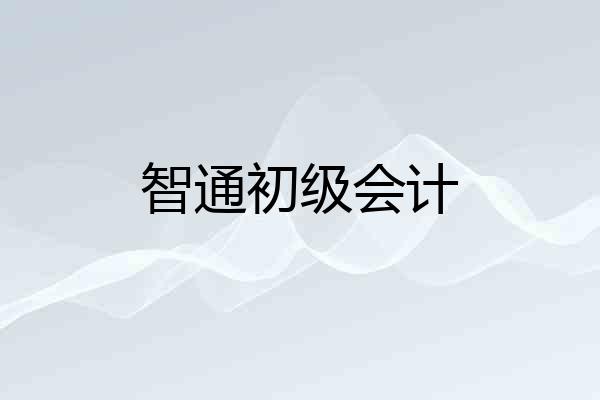 智通初级会计