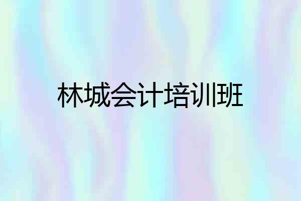 林城会计培训班