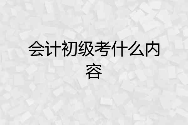 会计初级考什么内容