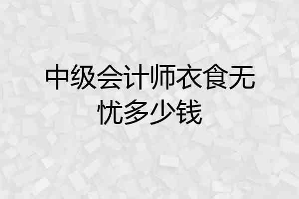 中级会计师衣食无忧多少钱