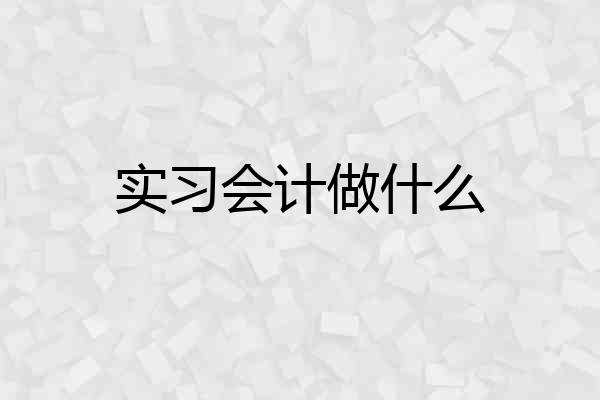 实习会计做什么