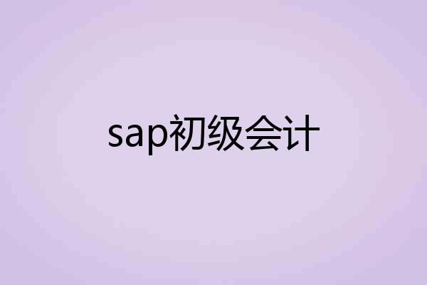 sap初级会计