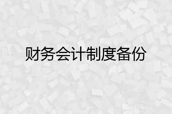财务会计制度备份