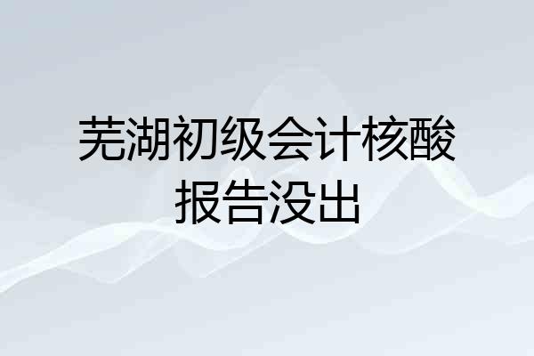芜湖初级会计核酸报告没出
