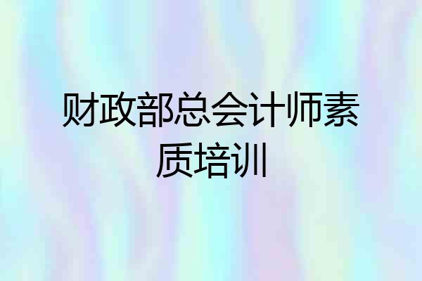 财政部总会计师素质培训