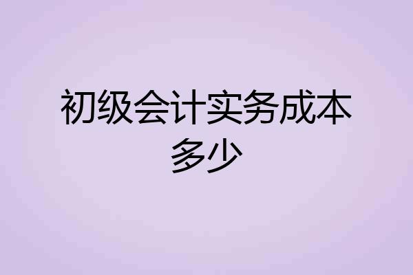 初级会计实务成本多少