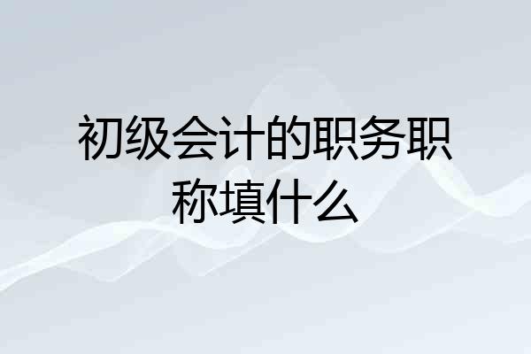 初级会计的职务职称填什么