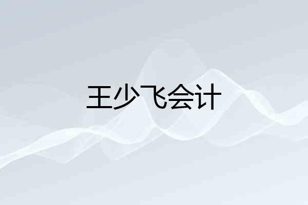 王少飞会计