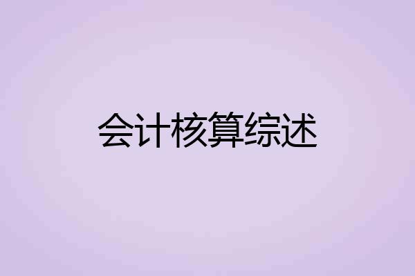 会计核算综述