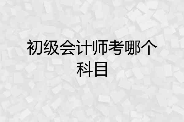 初级会计师考哪个科目