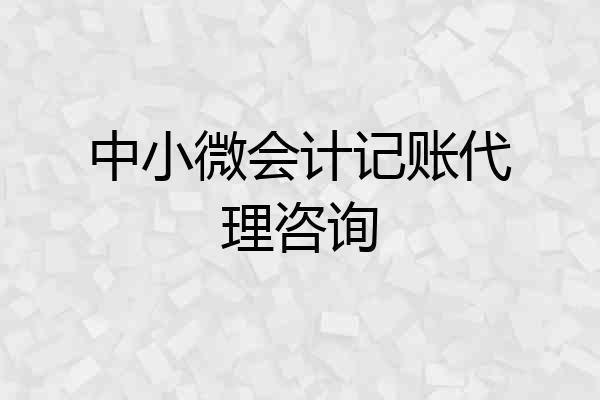中小微会计记账代理咨询