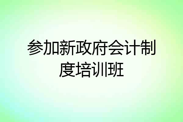 参加新政府会计制度培训班