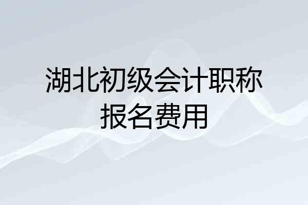 湖北初级会计职称报名费用