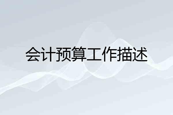 会计预算工作描述