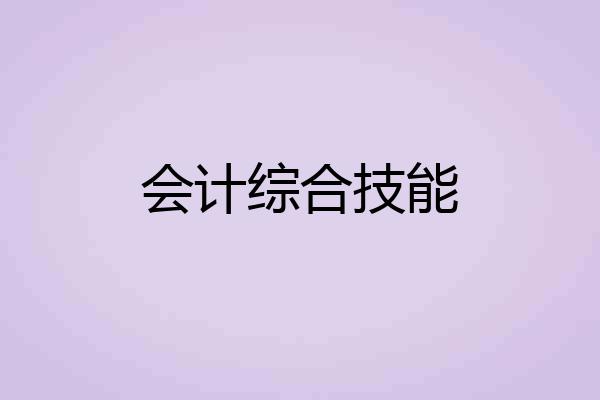 会计综合技能