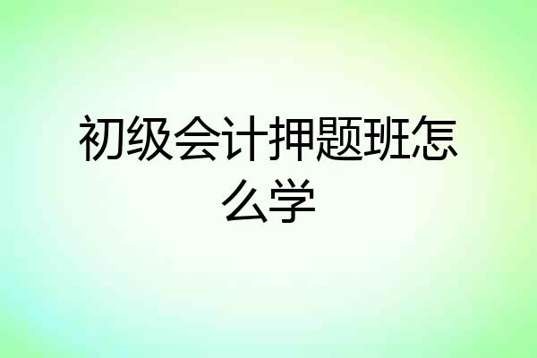 初级会计押题班怎么学