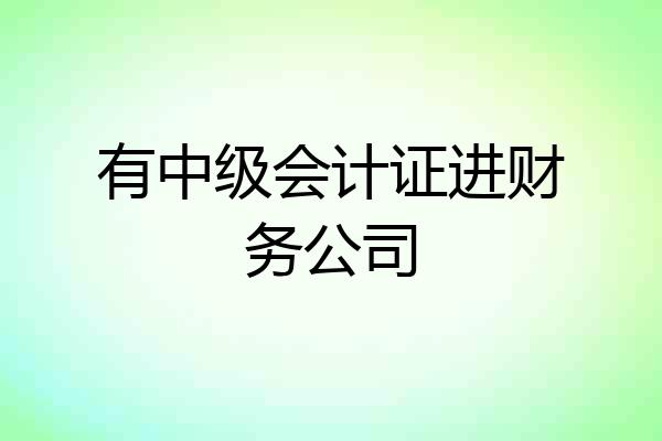 有中级会计证进财务公司
