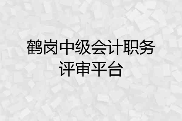 鹤岗中级会计职务评审平台