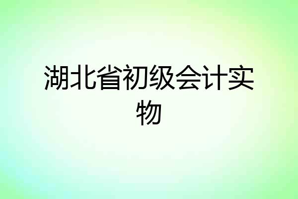 湖北省初级会计实物