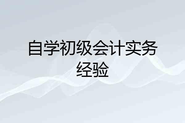 自学初级会计实务经验